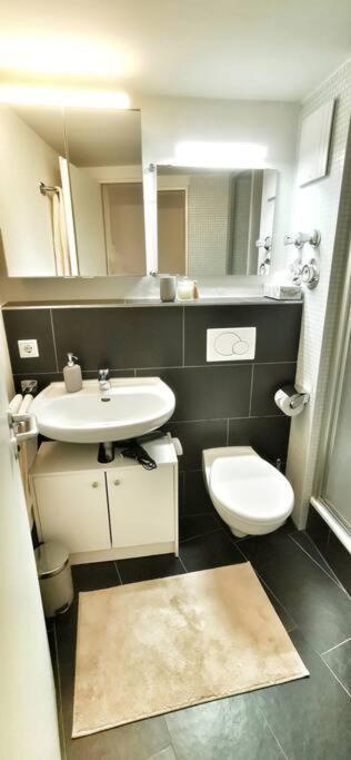Schoenes Apt In Zentraler Lage Freiburg im Breisgau Dış mekan fotoğraf